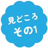 見どころその１